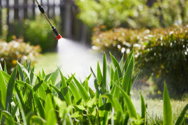 Tamper-Resistant Bait Stations for Rodents in Floral Park