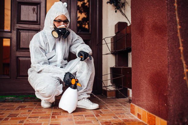 Attic and Crawl Space Rodent Treatment in Floral Park