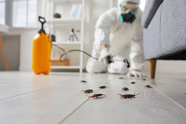 Commercial Rodent Management in Floral Park